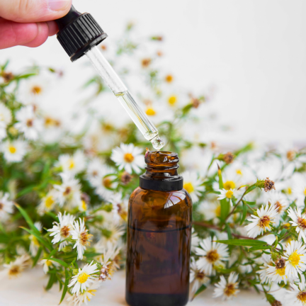 Flower essence consultation supporting emotional wellbeing, stress and life transitions.