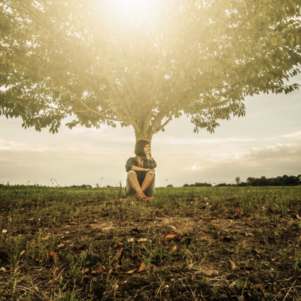 Woman sitting peacefully beneath a tree representing Soul Plan guidance and personal transformation at Sharon Curran Wellbeing in Northwich.